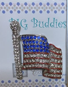 Needle Magnet “RHINESTONE U.S.A. FLAG” Needle Buddies Elizabeth Turner NEW! RARE - Picture 1 of 4