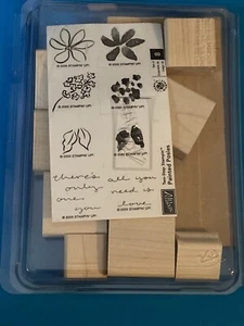 Stampin Up! "Bemalte Sträuße" zweistufiges Stampin nagelneu 8-teiliges Set Blumen, Blätter, - Bild 1 von 2