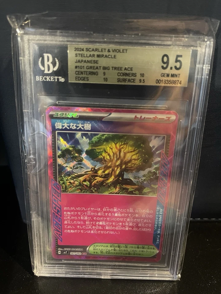 Great Big Tree 101/102 Sv7: Stellar Miracle Holo (Japanese) - Image 1 of 1