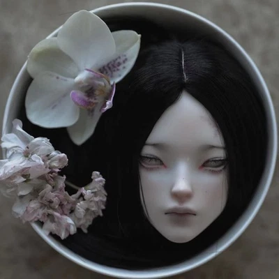 Miu Shima - Kui SD BJD GÉNERO NEUTRO MUÑECA CABEZA NS AMARILLO Foto 1 de 4