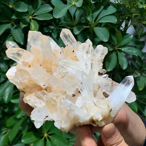 2.19LB A+++Large Natural white Crystal Himalayan quartz cluster /mineralsls - Picture 1 of 12