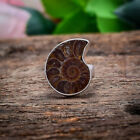 Favorable Ammonite Coque Gemme 925 Argent Sterling Handmade Cadeau Bague Pour Sa