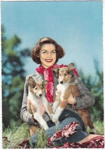 DONNA - CANI - CUCCIOLI -97961- - Picture 1 of 1