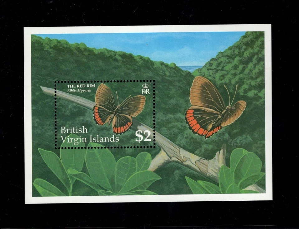 英属维尔京群岛 1991 年 2 美元红边蝴蝶图书馆 Hyperia MNH SG MS792b — 第 1/1 张图片