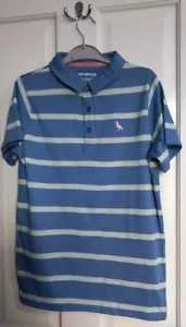 Boys Blue Collered T-shirt With Strips & Dinosaur Lego Age 12 yrs old - Picture 1 of 9