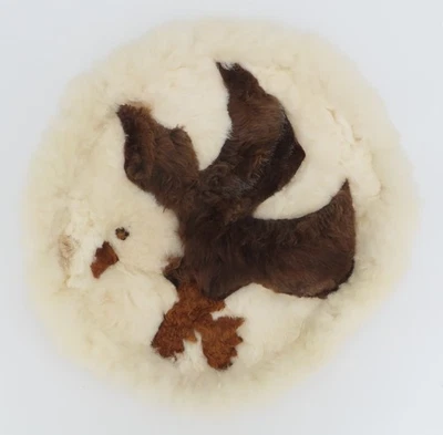 Funda de almohada de piel de alpaca tapiz colgante de pared redonda águila pájaro 18" diámetro Foto 1 de 4