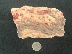 Moose Blood Kona Dolomite Rough Slab Marquette, Michigan Stromatolite Cabbing - Picture 1 of 4