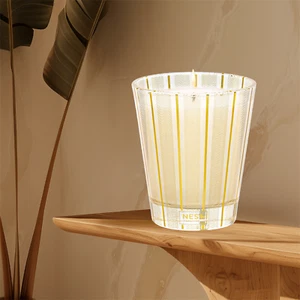 NEST Fragrances Crystallized Ginger & Vanilla Bean Single Wick Scented Candle - Picture 1 of 7