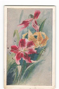 Kunstwerk einer bunten Blume Aquarell Vintage Postkarte CG3. - Bild 1 von 2
