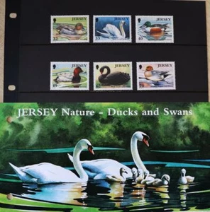 Jersey Stamps: Jersey "Nature - Ducks & Swans" MNH Presentation Pack 2004 - Picture 1 of 4