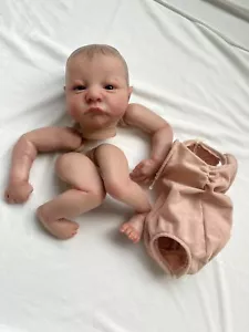 19in Reborn Doll Kit with Cloth Body Hand Painted - Picture 1 of 7