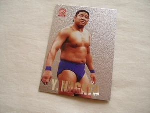 Kirin Hiroshi Nagata Insert Card Bandai 2001 Neu Japan Pro Wrestling RE - Bild 1 von 1