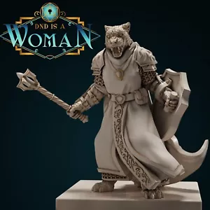 Clérigo Tabaxi - Prados nevados | Miniatura Dungeons & Dragons | DnD es una mujer - Imagen 1 de 3