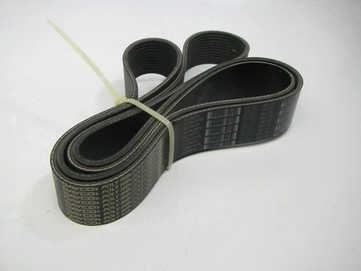 Cinturón serpentino Dayco 5120815 - 1,647" X 81,50" - 12 costillas Foto 1 de 3