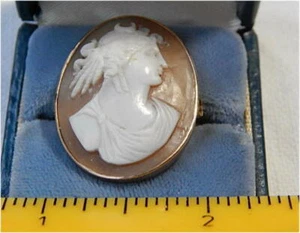 Finely Carved Vintage Shell Cameo in 14K gold Pin/Pendant - Picture 1 of 2
