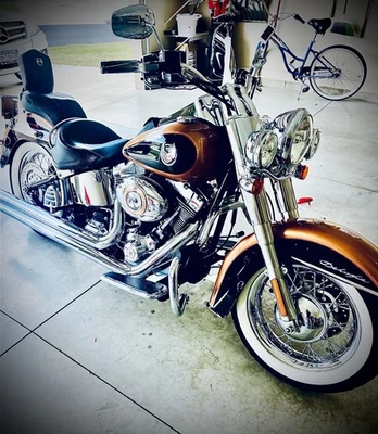 Harley-Davidson Softail 2008  Foto 1 de 4