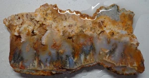 WRG- Graveyard Point Plume Agate Slab 60 grams Oregon Lapidary moss - Picture 1 of 5