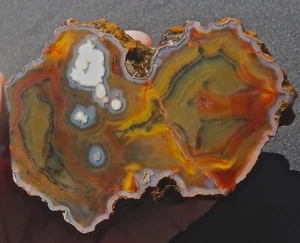 Condor Agate Polished Nodule Unique Patterns 276 Grams- 9.7 Oz Argentina - Picture 1 of 10