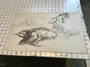 Original GAY YOUSE art: SIGNED - Sketch - mutli views of DOG Laying down - Picture 1 of 4
