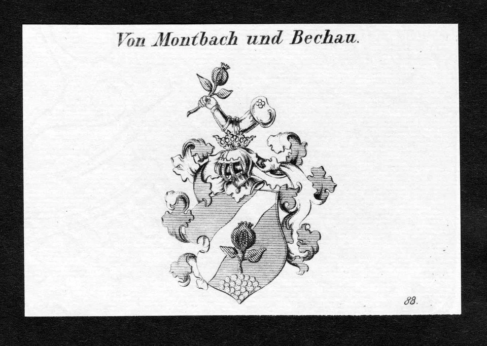 ca. 1820 Montbach Bechau Wappen Adel coat of arms Kupferstich antique print - Bild 1 von 1