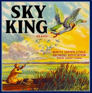 Winter Garden Florida Sky King Brand Duck Orange Citrus Fruit Crate Label Print - Picture 1 of 1