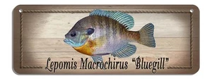 Bluegill Rustic Wall Sign Plaque Gifts Men Sea Fishing Fishermen Fish Metal - Picture 1 of 1