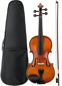 Violín 4/4 tamaño completo con estuche, arco, puente y pasas - Imagen 1 de 3