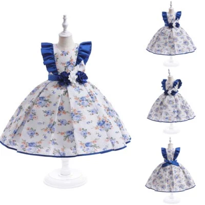 Vestido Flor Niñas Niños Dama de honor Boda Princesa Concurso Baile de graduación Vestido Lolita Foto 1 de 4