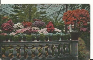 1919 Stempel Frankfurt / Main  auf Postkarte, Deutsches Reich frankierte AK - Bild 1 von 2