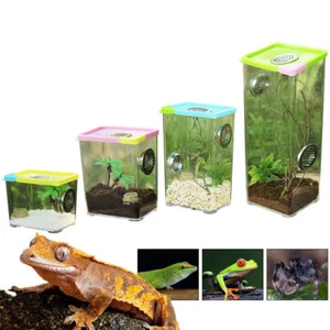 Reptile Breeding Box Clear Acrylic Reptile Terrarium Feeding Box for Spider - Picture 1 of 16