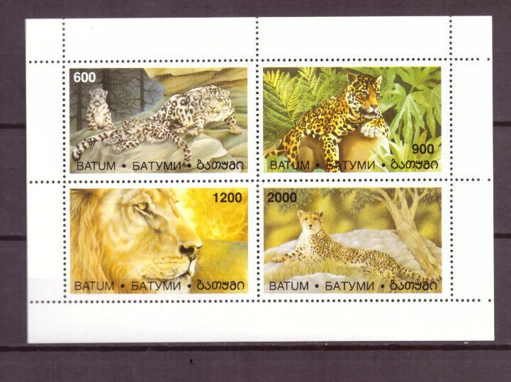 Georgia - World of cats, tigers, pima, leopard souvenir sheet MNH (611*) - Image 1 of 1