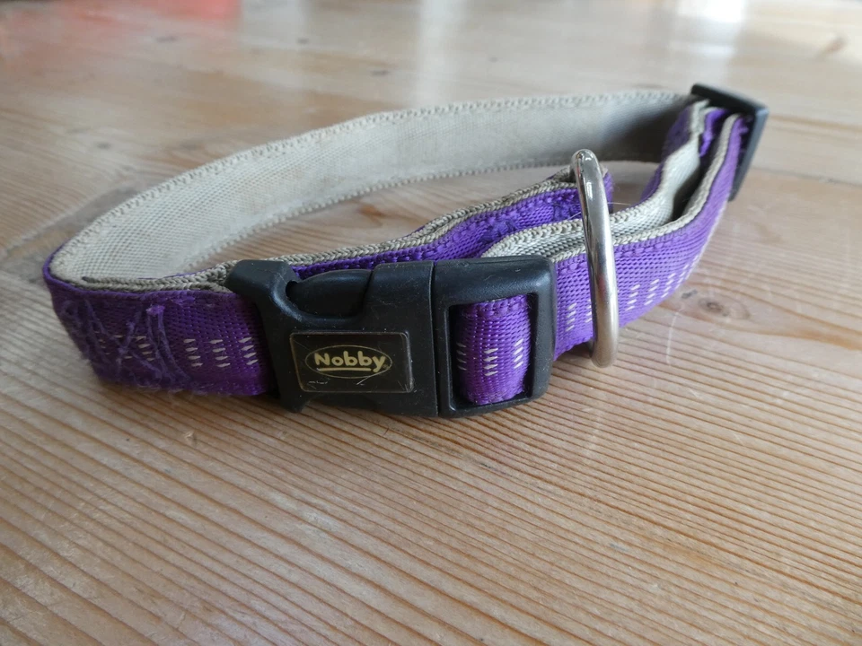 COLLAR PERRO NOBBY PÚRPURA AJUSTABLE COLLAR PERRO 30 cm LARGO #1615 Foto 1 de 2