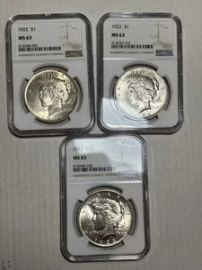 Lot Of Three NGC MS-63 Peace Dollars - Picture 1 of 8