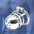 316 Stainless Steel Male Chastity Device Metal PA Lock Chastity Cage Lock