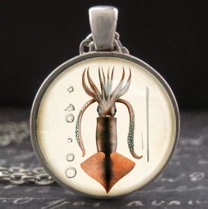 Squid Necklace Vintage Naturalist Art Pendant Round Glass Charm Silver Jewelry - Picture 1 of 3