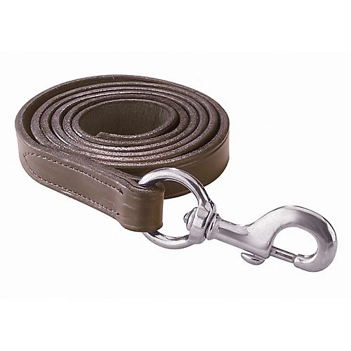 Plomo de cuero Perris de 6 pies con broche de presión Foto 1 de 1