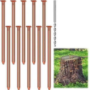 10Pcs Copper Nails for Killing Trees Hardware Nails for Trees with 1 Drill4485 - Picture 1 of 7