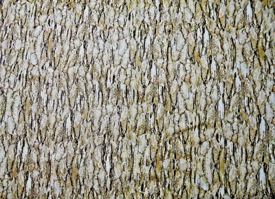 Moda FABRICS# 20007"OUTDOORSY" TREE BARK BTY - Image 1 of 2