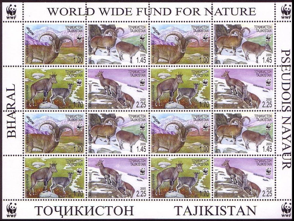 Tayikistán WWF Bharal Hoja de 4 juegos 2005 MNH Sc#266 a-d SG#282-285 Foto 1 de 1