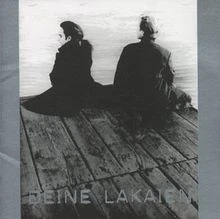 Winter Fish Testosterone von Deine Lakaien | CD | Zustand sehr gut - Bild 1 von 2