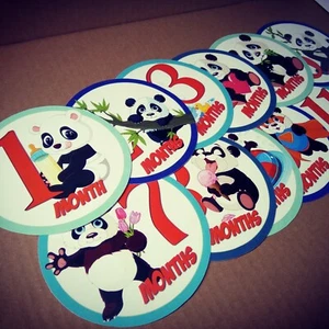 Pandas themed monthly bodysuit baby stickers - Picture 1 of 5
