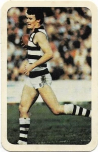 1982 Ardmona Big League Series 2 Geelong - PETER JOHNSTON - Picture 1 of 1