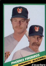 1988 Phoenix Firebirds CMC #25 Marty DeMarrite/Tim Blackwell