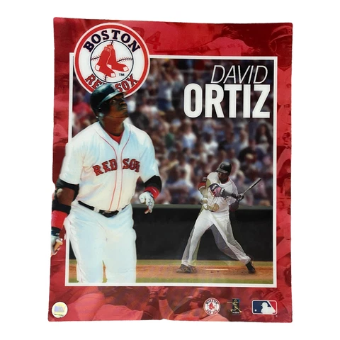David Ortiz Boston Red Sox 3D Motion Lenticular Poster Print 20" x 16" MLB Cover