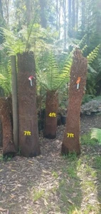 Tree fern trunks , Dicksonia antarctica x 7ft tall . - Picture 1 of 4