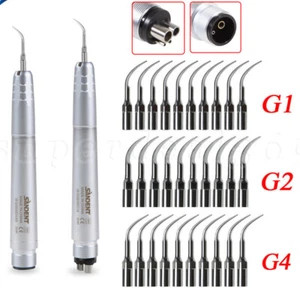 Dental Ultrasonic Air Scaler Handpiece 2/4Hole Scaling Perio Tips G1,G2,G4 st - Picture 1 of 54
