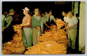 AK Der Tabak Auktionator - Bild 1 von 2