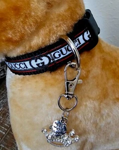 Elegant dog collar, collar for dog, luxury collar for dog with removable tag XS - Picture 1 of 3
