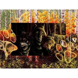 New Leanin Tree Greeting Card Wolves "Step Lightly" by Graeme Stevenson - Picture 1 of 2