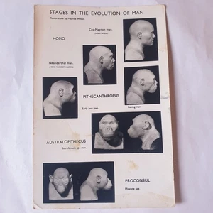 Etapas en la evolución del hombre postal vintage en blanco y negro Museo Británico - Imagen 1 de 2